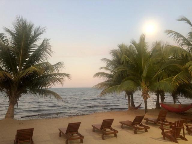 The White Horse Inn - Hopkins Village Beach Belize 외부 사진